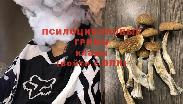 прущие грибы Армянск