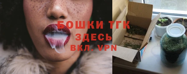 прущие грибы Армянск