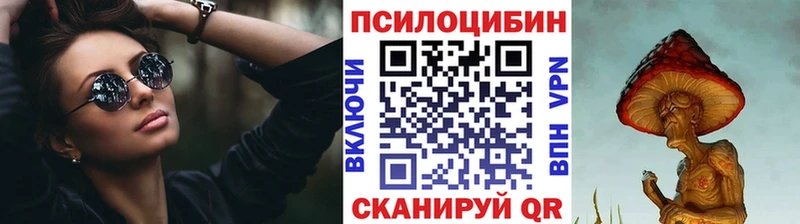 Купить закладки  Каргополь  Псилоцибиновые грибы Magic Shrooms 